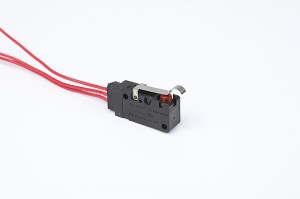 FSK-14 Big Waterproof micro switches