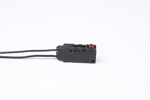 FSK-14 Big Waterproof micro switches